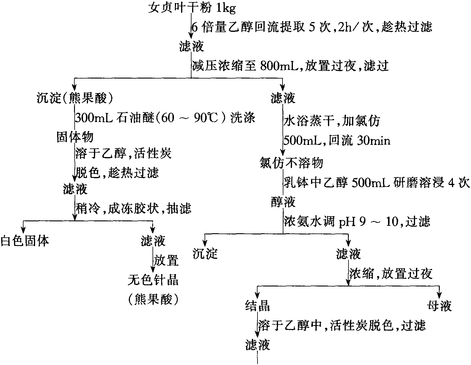 19 女貞葉